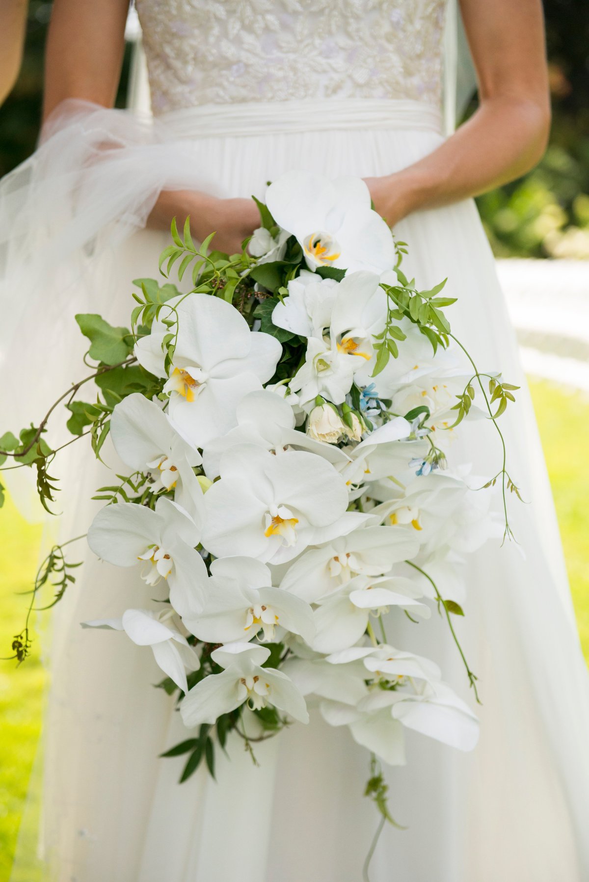 Bridal cascade bouquet with white orchids and greenery, elegant wedding floral arrangement with soft natural lighting