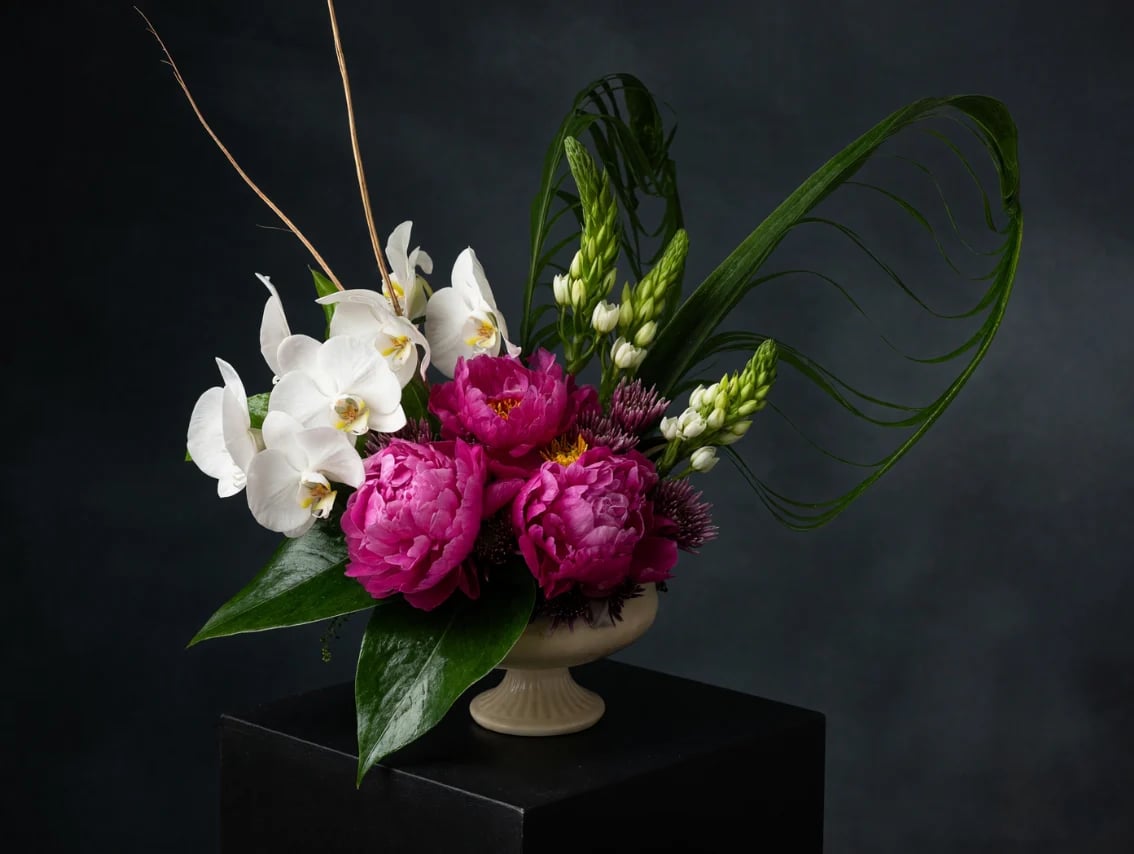 Elegant floral arrangement with white orchids, hot pink peonies, green foliage and curved stems in a beige vase on black background