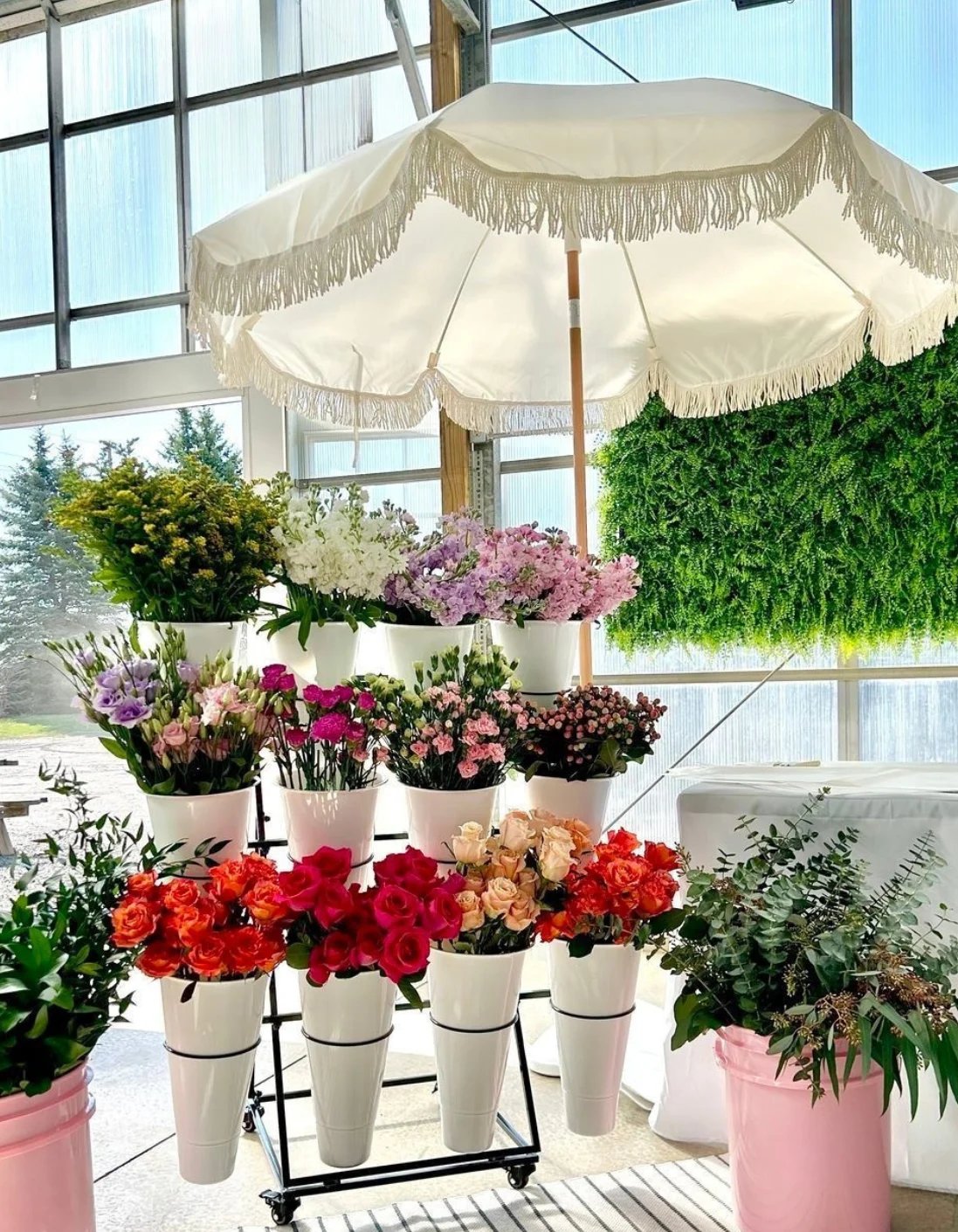 A tiered flower display stand with colorful blooms in white pots under a cream-colored fringed umbrella in a bright greenhouse setting