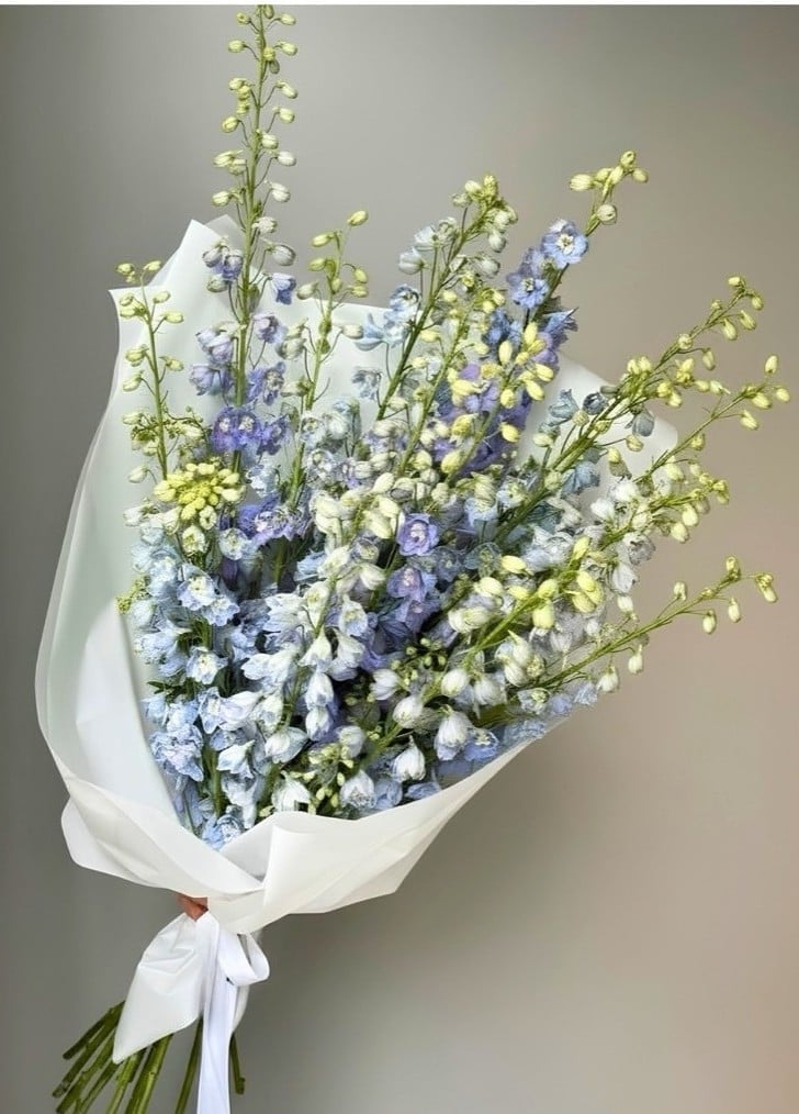 Bouquet of blue, purple, and white delphinium flowers wrapped in white tissue paper with a white ribbon bow